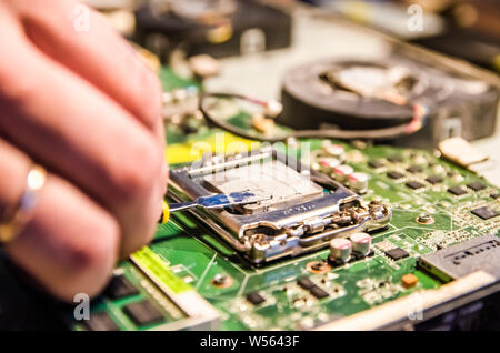 Technical support worker greases with thermal grease paste computer processor Stock Photo