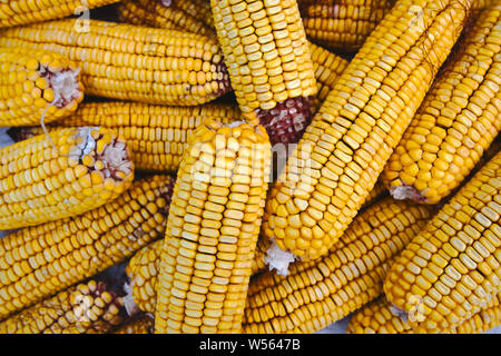 Dried corn cobs, cron seeds or kernels top view photo Stock Photo