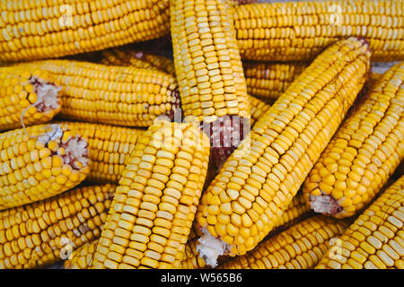 Dried corn cobs, cron seeds or kernels top view photo Stock Photo