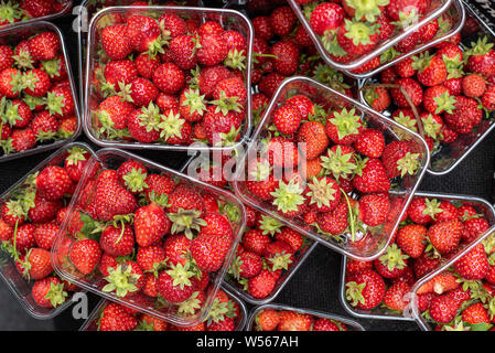 Baskets full of fresh delicious red healthy strawberries from a fruit market Stock Photo