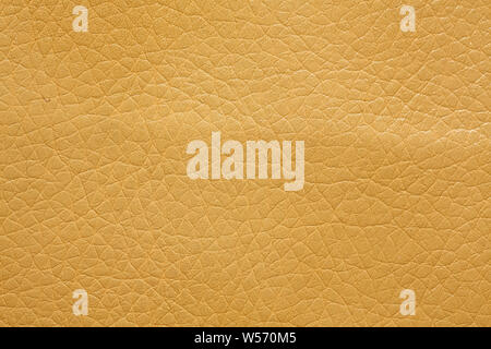 Perfective light dermatin background. High quality texture in extremely high resolution. Stock Photo