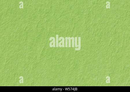 Paper light green background. High quality texture in extremely high resolution. Stock Photo