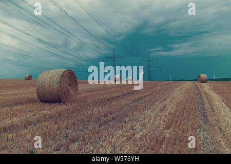 straw bales of hay in a field, Germany Stock Photo