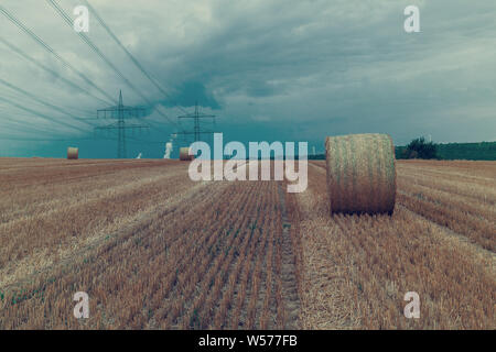 straw bales of hay in a field, Germany Stock Photo