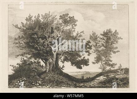 Country road between the two trees, View of a hilly landscape with a road between two groups of trees. On the road, under the branches of the large tree on the left, are two shepherds with a herd of sheep and goats, landscapes, trees, herding, herdsman, herdswoman, shepherd, shepherdess, cowherd, etc, goat, sheep, Martinus Antonius Kuytenbrouwer jr. (mentioned on object), The Hague, 1845, paper, drypoint, h 148 mm × w 221 mm Stock Photo