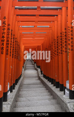 Torii Gates of The Hie Shrine, Tokyo, Japan. Stock Photo