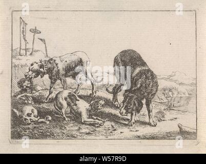 Dogs with bones Various animals (series title), In a landscape there are four dogs with some bones and a skull. One of the dogs defended his bone against another dog, who stuck his nose interested in the direction of the bone. Two gallows are depicted in the background. This print is part of a ten-part series about various animals, dog with bone, (human) skull, violent death by hanging - EE - death not certain, wounded person, Theodorus van Kessel, 1654, paper, etching, h 76 mm × w 105 mm Stock Photo