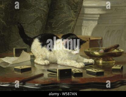 Cat With Cigar Stock Photo - Alamy