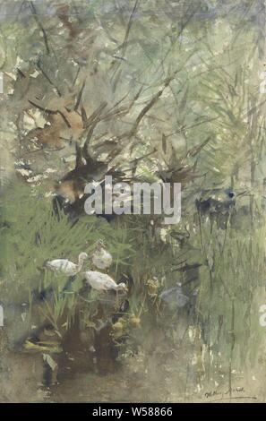 Ducks among willows, domestic waterbirds, Willem Maris (mentioned on object), 1844 - 1910, paper, watercolor (paint), brush, h 289 mm × w 193 mm Stock Photo