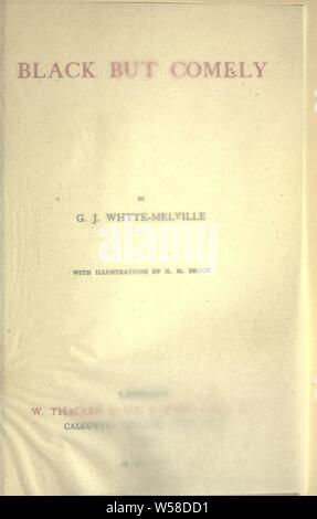 The Brookes of Bridlemere : Whyte-Melville, George John, 1812-1878 Stock Photo