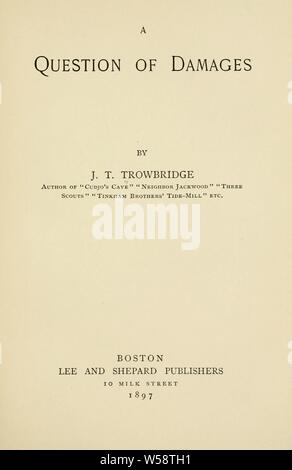 A question of damages : Trowbridge, J. T. (John Townsend), 1827-1916 Stock Photo