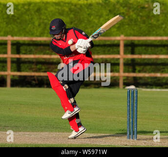 The Lawn, Waringstown, Northern Ireland, UK. 26th July, 2019. The Lagan Valley Steels Twenty 20 Cup Final 2019. CIYMS v Waringstown (red). Action from this evening's final. Credit: David Hunter/Alamy Live News. Stock Photo