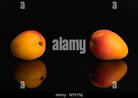 Group of two whole fresh orange apricot placed aside isolated on black glass Stock Photo