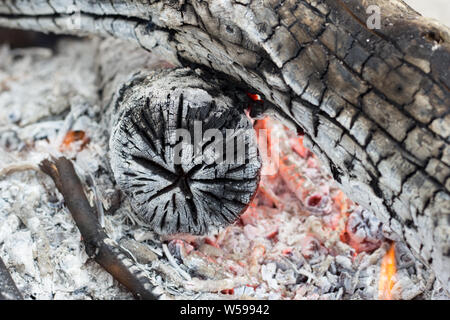 Big burning logs in camp fire. Outdoor camping concept. Close up of flames fire with red and orange flames. Smoldering embers in a fire, burning wood. Stock Photo