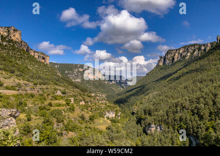 View over green river valley of Tarn near village of Le Rozier in Cevennes Occitanie France Stock Photo