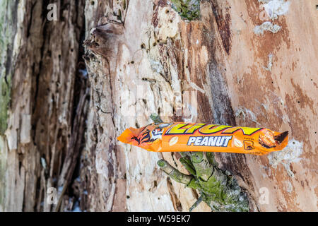 Lion chocolate bar manufactured by Nestle Stock Photo