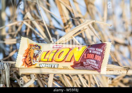 Lion chocolate bar manufactured by Nestle Stock Photo