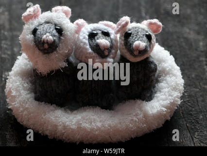three cute mice stand in white basket on black wooden background, woolen small rat knit from yarn in free time of craftsmanship Stock Photo