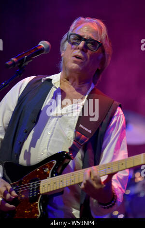LOS ANGELES, CALIFORNIA - JULY 03: Musician Danny Kortchmar of The Section and Immediate Family performs onstage during the California Saga 2 Benefit Stock Photo