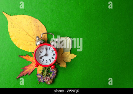 Back to school concept. Old alarm clock on the background of dry autumn leaves. Copy space. Stock Photo