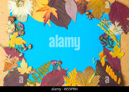 Back to school concept. Autumn frame of dry leaves. Copy space. Stock Photo