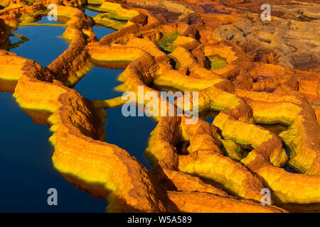 Rust-colored salt structures in an acid brine pool, geothermal field of Dallol, Danakil depression, Afar Triangle, Ethiopia Stock Photo