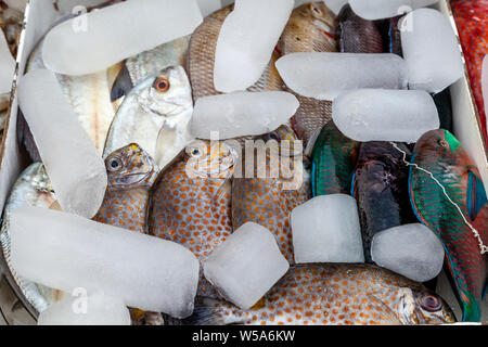 Fresh Seafood Displayed Outside A Beachfront Restaurant, Alona Beach, Bohol, The Philippines Stock Photo