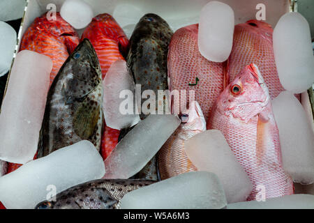 Fresh Seafood Displayed Outside A Beachfront Restaurant, Alona Beach, Bohol, The Philippines Stock Photo