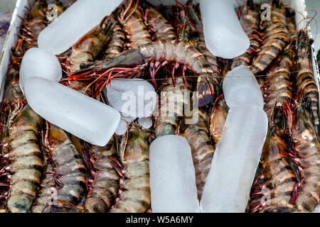 Fresh Seafood Displayed Outside A Beachfront Restaurant, Alona Beach, Bohol, The Philippines Stock Photo