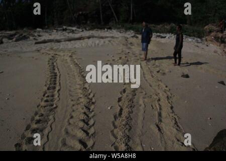July 16, 2019, Anambas Islands, Riau Islands, Indonesia: ANAMBAS ISLANDS, INDONESIA - JULY 18 : The trace of sea turte, the sight of the green sea turtle (Chelonia mydas) laying eggs in their natural habitat on Sunggak Island, part of the Anambas Islands in Indonesia. Every day hundreds of sea turtles ride their eggs on the Anambas Islands, the number of uninhabited islands with maintained natural conditions makes the Anambas Islands very important for sea turtles conservation. The Anambas Islands, which are located in South China Sea, have become one of the sea turtle crossings and the busie Stock Photo