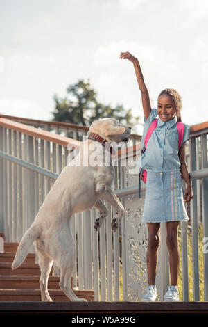 Amazing dark-skinned girl playing with big dog Stock Photo