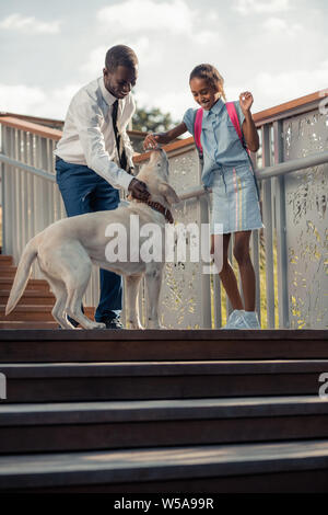 Kind businessman caressing nice active big dog Stock Photo