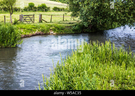 The River Windrush in summer in the Cotswolds. Stock Photo