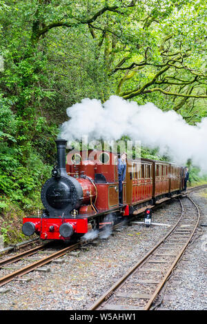 The 1866 0-4-0T steam loco 'Dolgoch'  arriving at Abergynolwyn on the Talyllyn – the world’s first preserved heritage railway, Gwynedd, Wales, UK Stock Photo