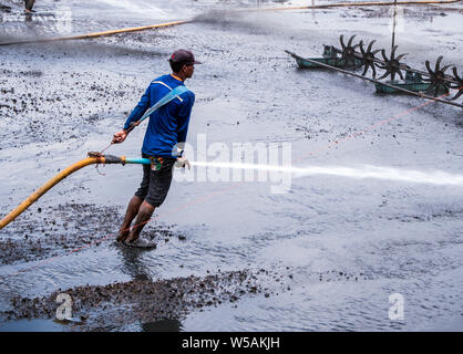 CHACHOENGSAO THAILAND - JULY 13: Unidentified men control high-pressure water jet nozzle to clean the mud at the bottom of the pond on July 13, 2016 Stock Photo