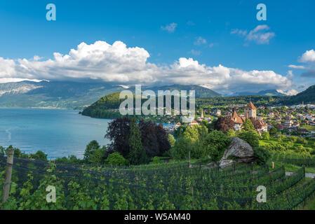 Spiez castle on lake Thun, Spiez, Bernese Oberland, Switzerland, Europe Stock Photo
