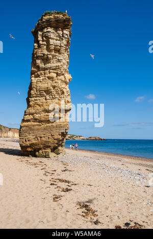 Lot's Wife sea-stack on the sandy beach at Marsden Bay on the coast near South Shields South Tyneside, Tyne and Wear Stock Photo