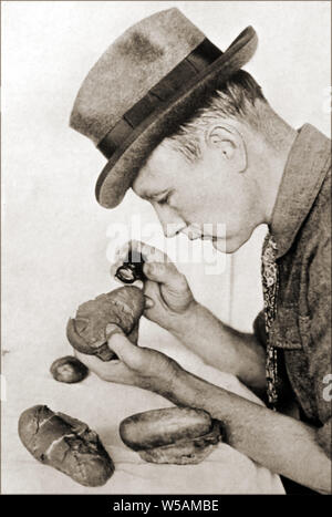 1946 Portrait of Dr Roy Chapman (1884-1960) American explorer, author, adventurer and naturalist . He became the director of the American Museum of Natural History and is seen here examining fossilised dinosaur eggs from the Gobi Desert. He was said to have inspired the film character Indiana Jones Stock Photo