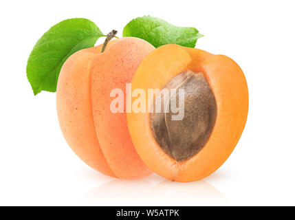 Isolated apricots. One and a half apricot with kernel isolated on white background with clipping path Stock Photo