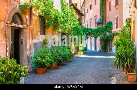 The picturesque Rione Trastevere on a summer morning, in Rome, Italy. Stock Photo