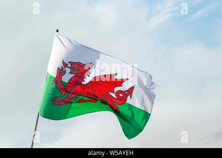 Welsh flag flying  in the  wind isolated  on a pole Stock Photo