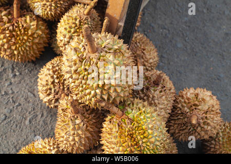 Durian fruits lay on a counter of marketplace in Kota Kinabalu, Malaysia. It is the fruit of several tree species belonging to the genus Durio Stock Photo