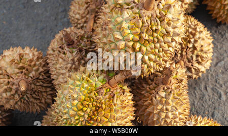 Durian fruits lay on a counter of marketplace. It is the fruit of several tree species belonging to the genus Durio Stock Photo