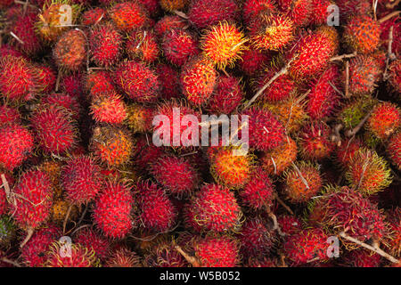 Rambutan red fruits lay on a counter of marketplace. Nephelium lappaceum is a medium-sized tropical tree in the family Sapindaceae