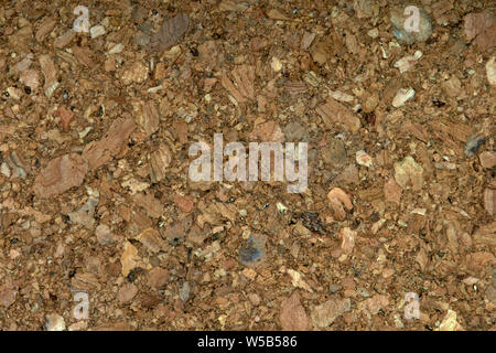 Extreme Closeup view (macro) of corkboard Stock Photo
