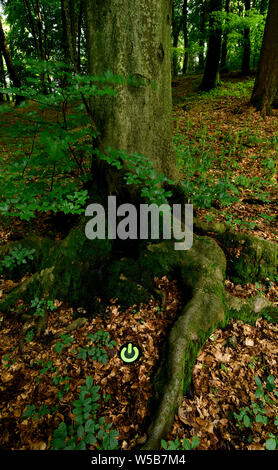 Augmented nature Stock Photo