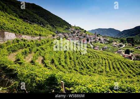 Prosecco Winery DOCG Unesco Area in Valdobbiadene Treviso Italy Stock Photo