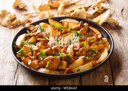 Hearty meal fried potatoes with garlic and mushrooms chanterelles close-up on a plate on the table. horizontal Stock Photo