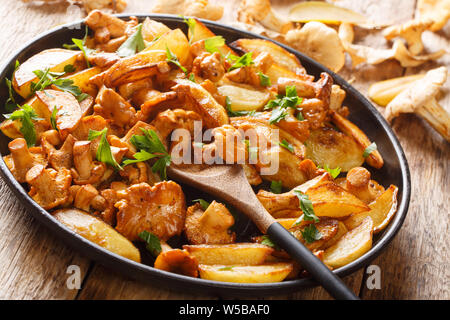 Homemade fried potatoes with forest mushrooms chanterelles close-up on a plate on the table. horizontal Stock Photo