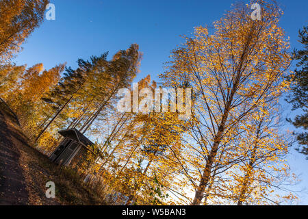 Small cabin hut near Linnunpaanselka lake in autumn in Finnish Lakeland, Järvi-Suomi, Finland Stock Photo
